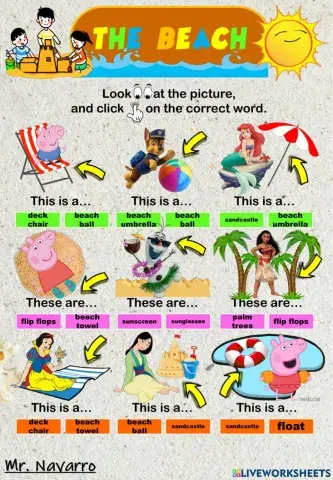 The Beach (Look at the picture and click on the correct word)