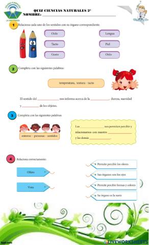 QUIZ de los sentidos