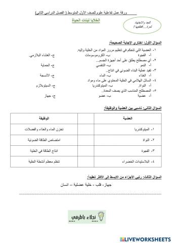 التنظيم في الخلايا