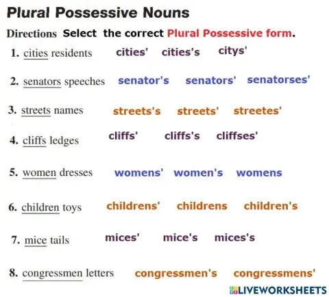 Plural Possessive Noun