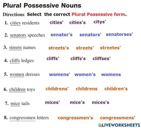 Plural Possessive Noun