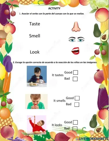 Look - taste - smell