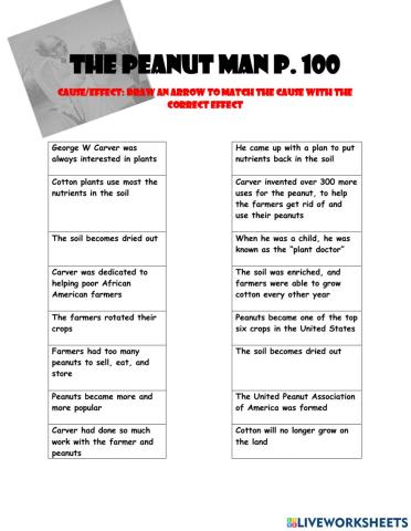 The Peanut Man
