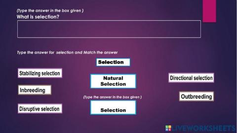 Selection (Variation)