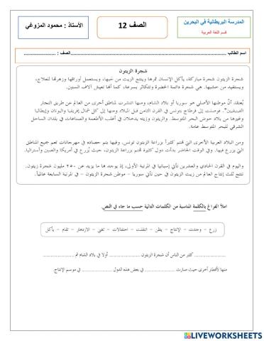 Year 12 , وقفة تقويمية