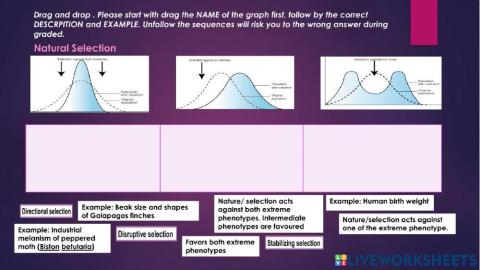 Types of Natural Selection