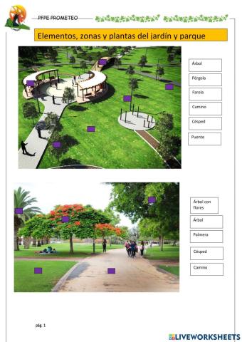 Identificar elementos de parque y jardín