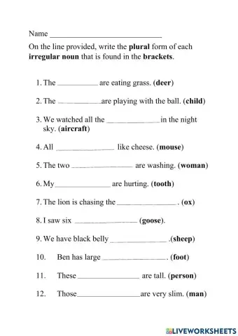Plurals - Irregular Nouns