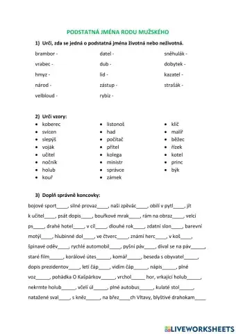 Podstatná jména rodu mužského
