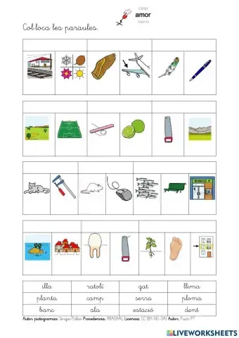 Col·locar paraules polisèmiques.