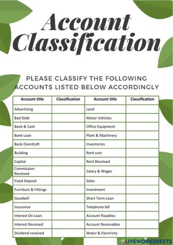Chapter 3 - Accounting Classification (Combined)
