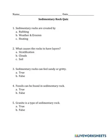 Sedimentary Rock Quiz 2