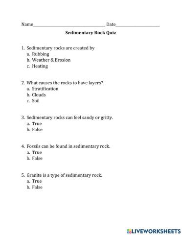 Sedimentary Rock Quiz 2