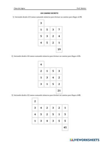 Un Camino Secreto N1