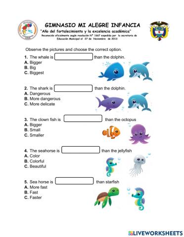 Comparisons - sea animals