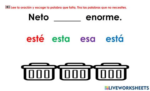 Neto: Examen 2