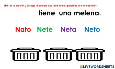 Neto: Examen 3