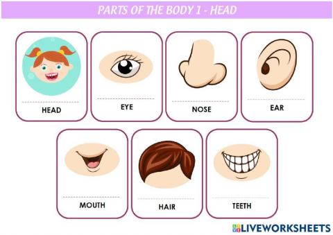 Parts of the head FLASHCARDS