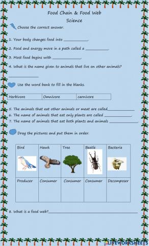 Food Chain and Food Web