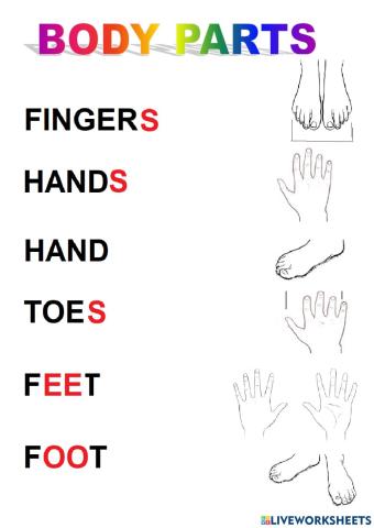 Body parts