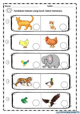 Matematik Tahun 1 pendidikan khas