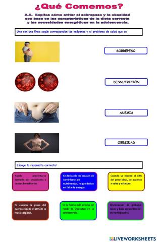 La Obesidad y otros problemas de Salud relacionados con la Dieta