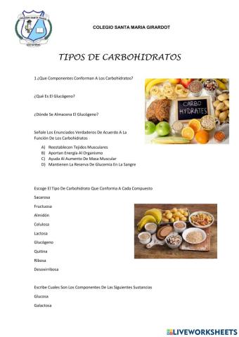 Tipos de carbohidratos