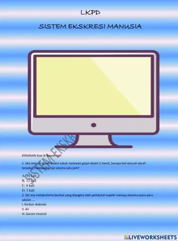 Sistem ekskresi manusia