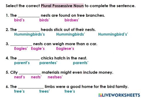 Plural Possessive Noun