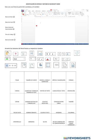 Identificación de interfaz y botones de Word