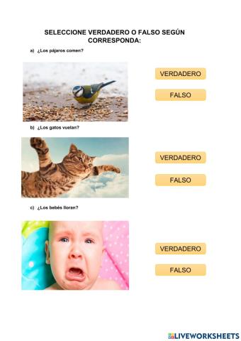 Área receptiva auditiva y asociación