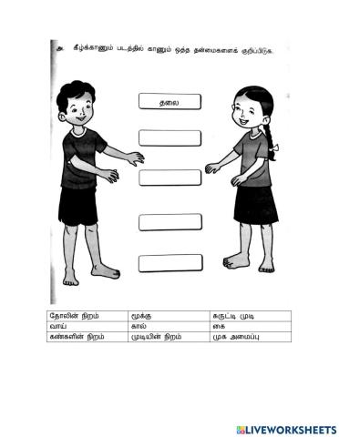 மனிதன் ஆண்டு 2  ஆக்க்ம் மு.சாந்தினி