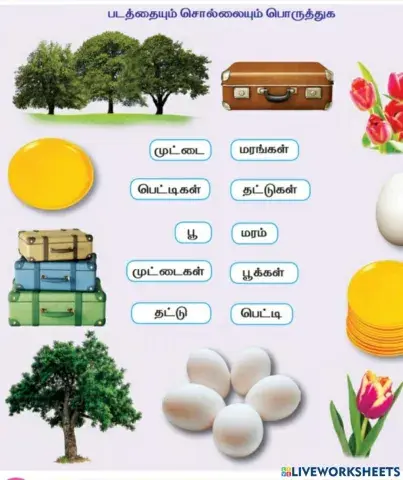 பபடதையும் சொல்லையும் பொருத்துக