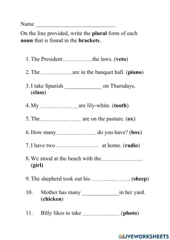 Plurals - s, es, irregular nouns