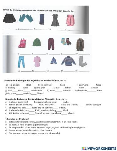 Kleidung und Deklination der Adjektive