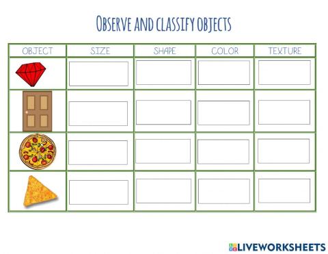 Observe and classify objects.
