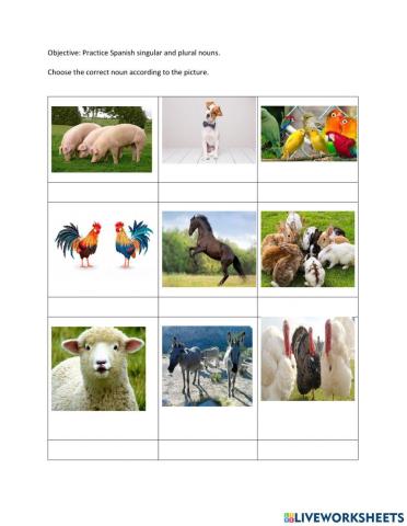Animales, Singular y Plural