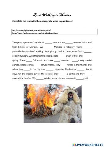 Cultural festival in Hungary (past simple9