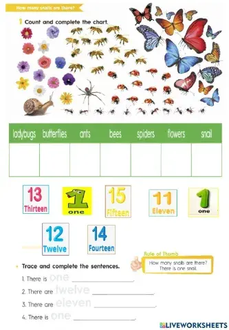 How many snails are there?