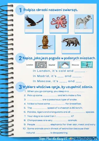 Klasa 6 Unit 3 Vocabulary Test