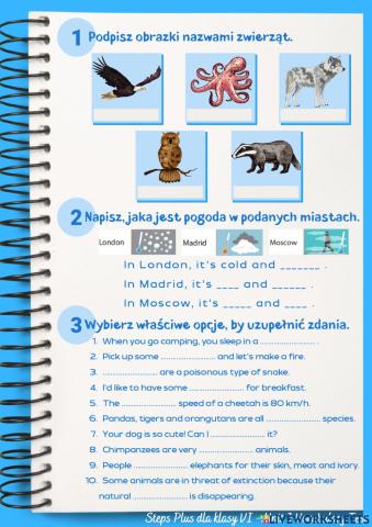 Klasa 6 Unit 3 Vocabulary Test