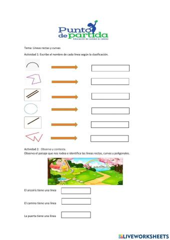 Líneas rectas y curvas
