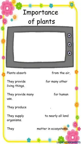 Importance of Plants