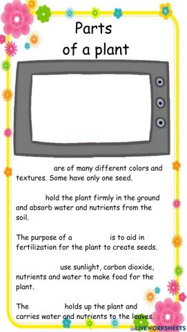 Parts of a plant