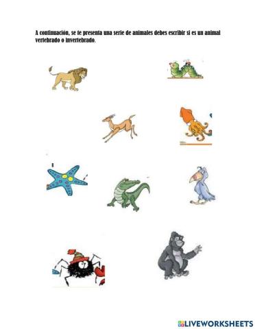 Animales vertebrados e invertebrados