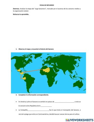 El auge bananero ecuador