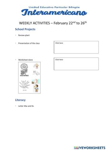 Weekly activities - Preparatory - week 38