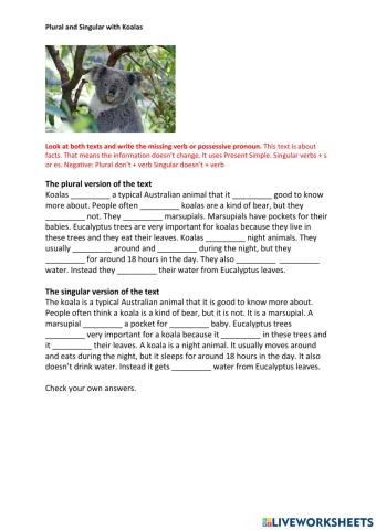 Koalas: Plural and Singular