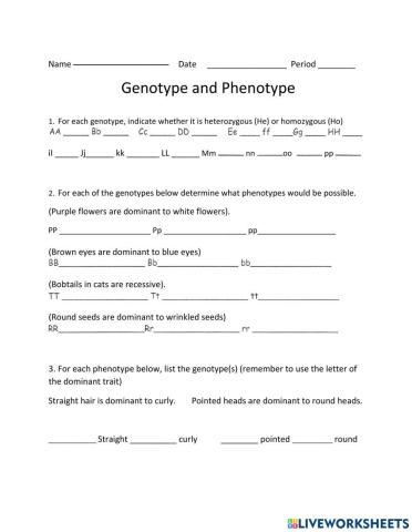 Genotype and Phenotype Worksheet