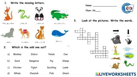 Grade 2 Wild Animals